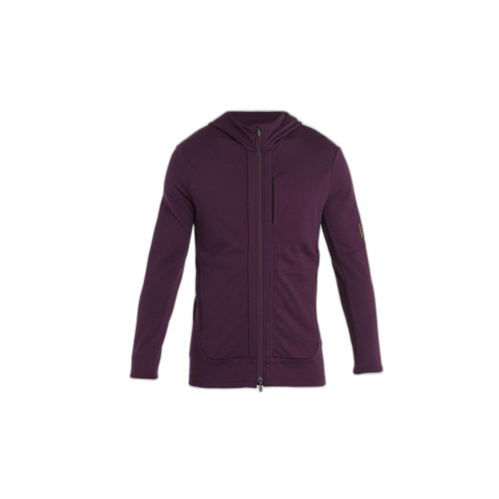 Bluza męska ICEBREAKER Quantum 3 HD 59JX /  fioletowy