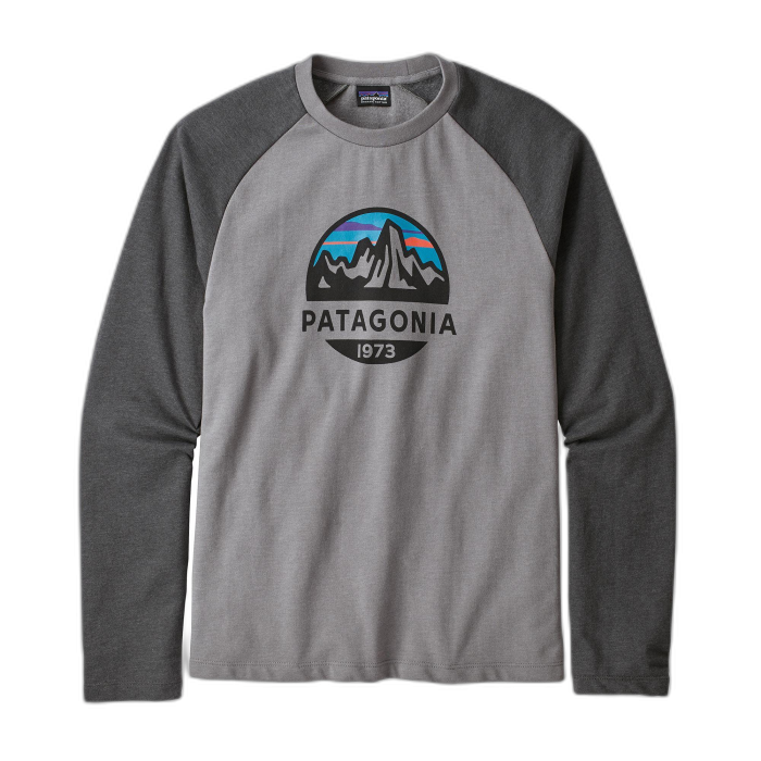 Bluza męska PATAGONIA Fitz Roy Scope LW L/S /  szary