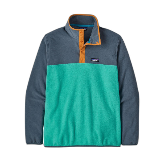 Bluza męska PATAGONIA Micro D Snap-T P/O /  wielokolorowy