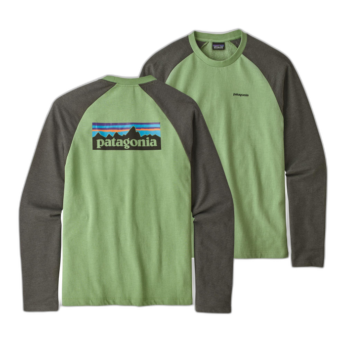 Bluza męska PATAGONIA P-6 Logo LW L/S /  wielokolorowy