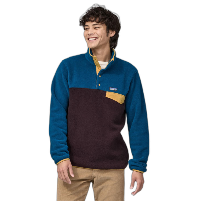 Bluza męska PATAGONIA Synchilla LW P/O /  wielokolorowy