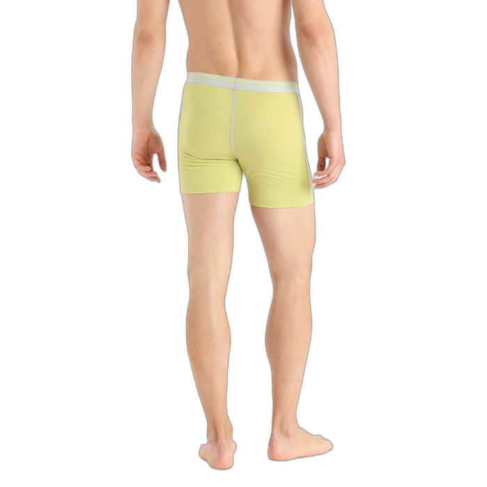 Bokserki męskie ICEBREAKER Anatomica 103029 /  wielokolorowy