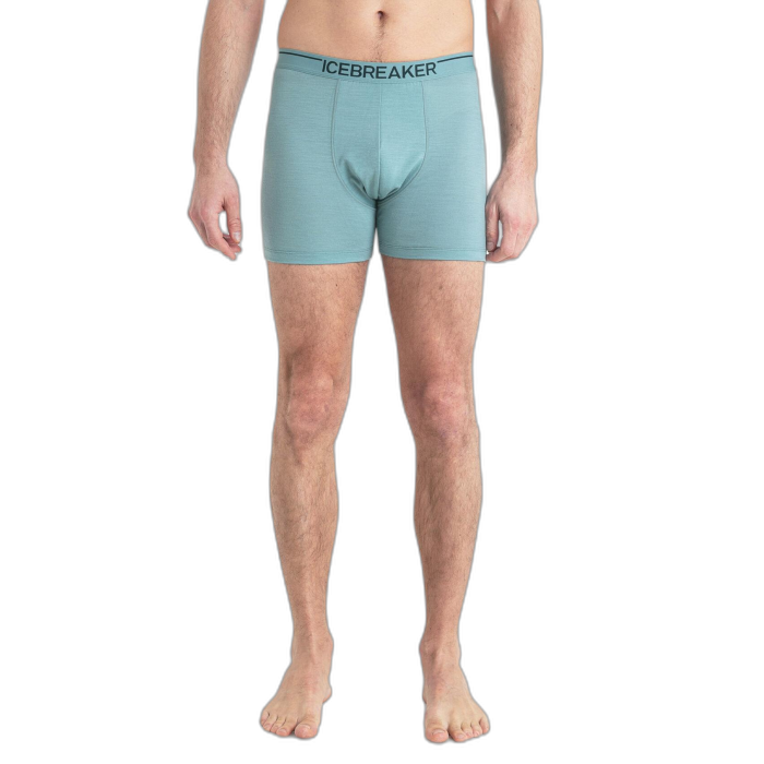 Bokserki męskie ICEBREAKER Anatomica 103029 /  zielony