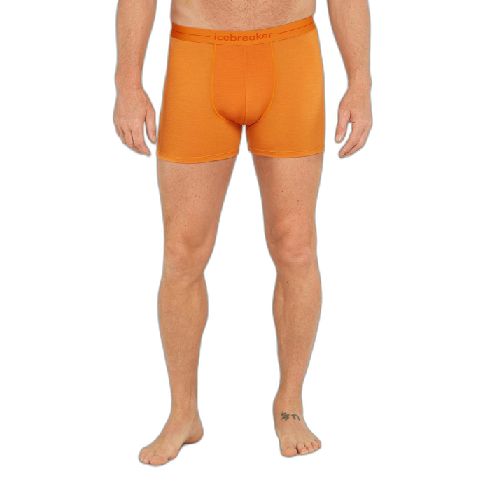 Bokserki męskie ICEBREAKER Anatomica 103029 /  pomarańczowy