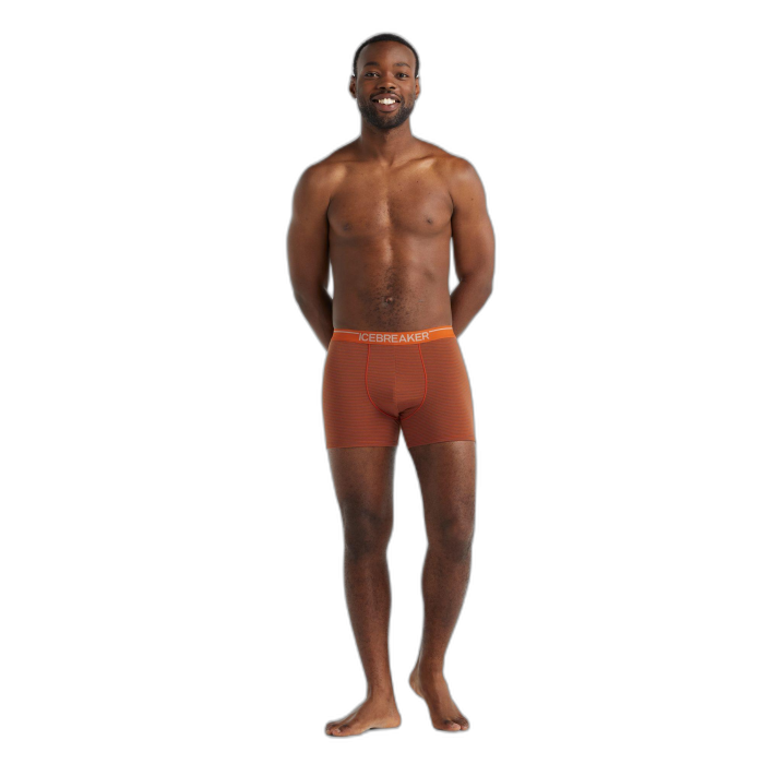 Bokserki męskie ICEBREAKER Anatomica 103029 /  pomarańczowy
