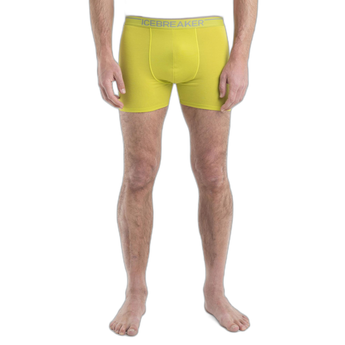 Bokserki męskie ICEBREAKER Anatomica 103029 /  żółty