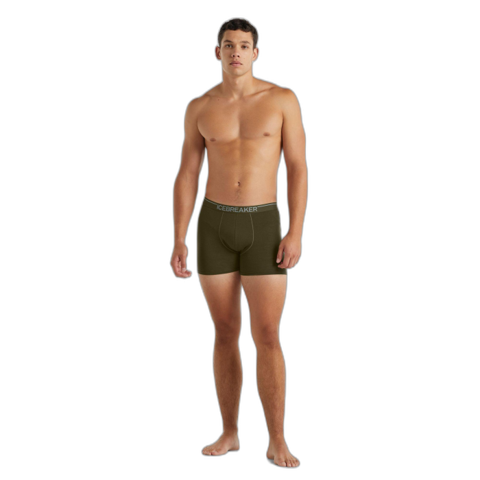 Bokserki męskie ICEBREAKER Anatomica 103029 /  zielony
