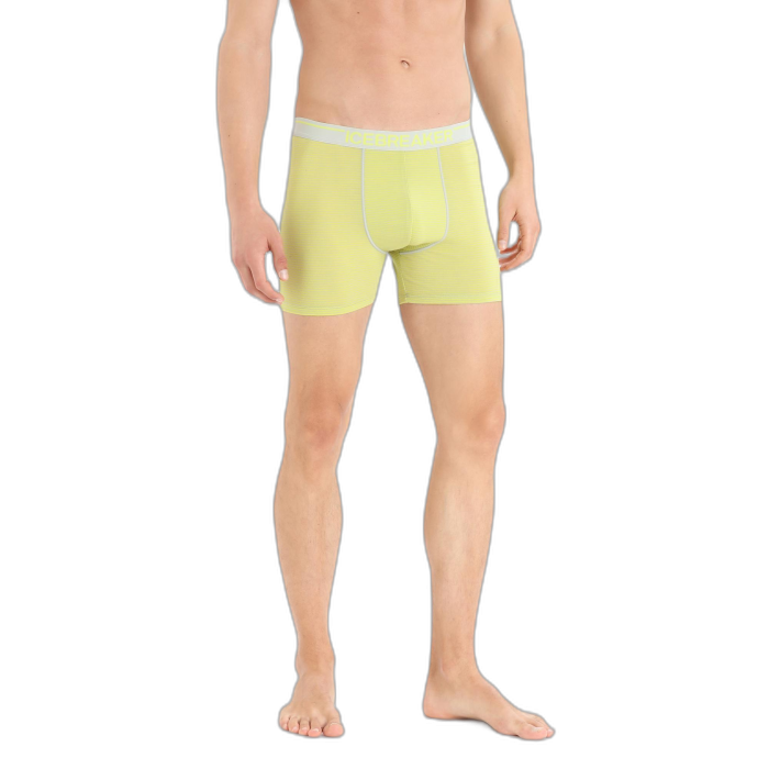 Bokserki męskie ICEBREAKER Anatomica 103029 /  wielokolorowy
