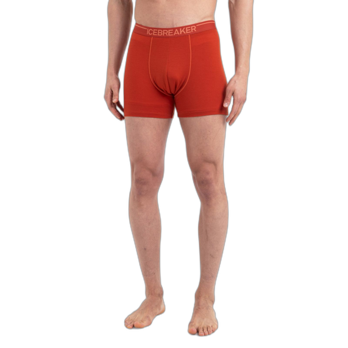Bokserki męskie ICEBREAKER Anatomica 103029 /  pomarańczowy