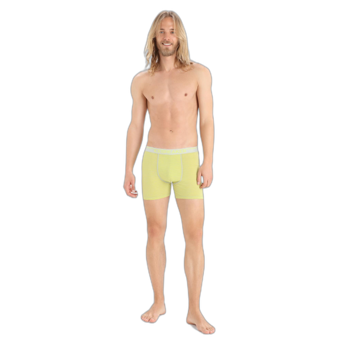 Bokserki męskie ICEBREAKER Anatomica 103029 /  wielokolorowy