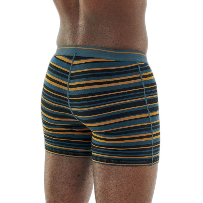Bokserki męskie ICEBREAKER Anatomica 103029  /  wielokolorowy