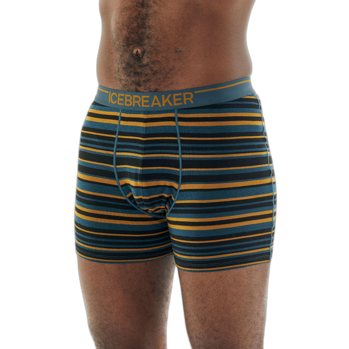 Bokserki męskie ICEBREAKER Anatomica 103029  /  wielokolorowy