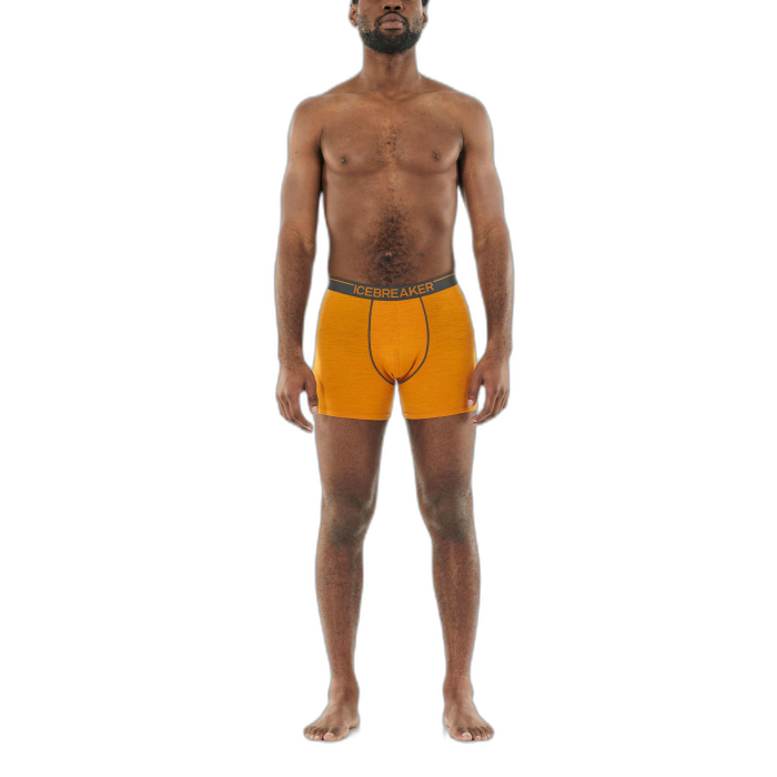 Bokserki męskie ICEBREAKER Anatomica 103029  /  pomarańczowy