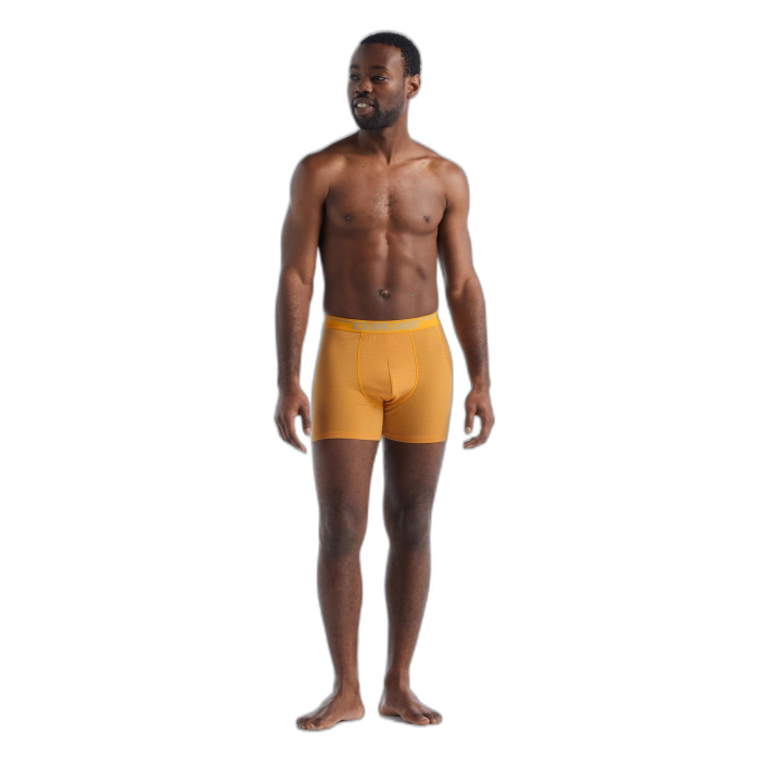Bokserki męskie ICEBREAKER Anatomica 103029  /  żółty