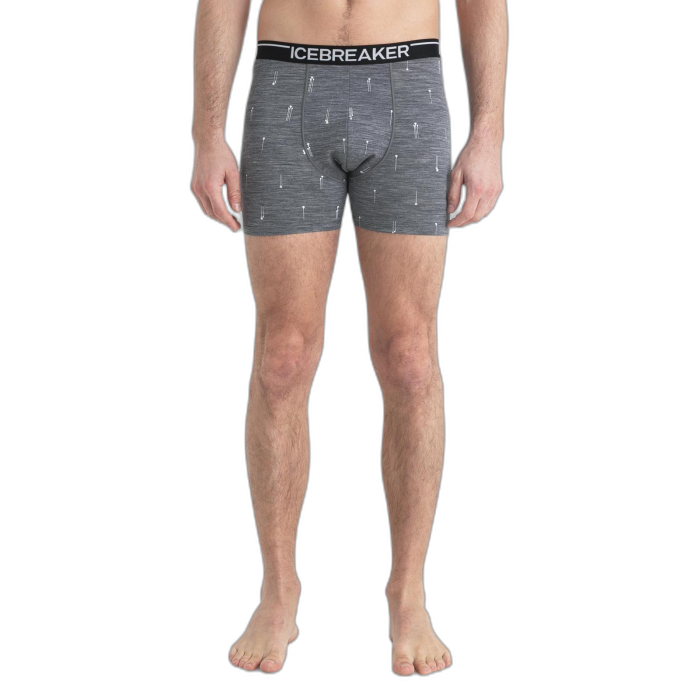 Bokserki męskie ICEBREAKER Anatomica 56YW /  szary