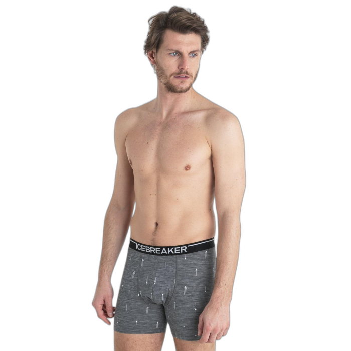 Bokserki męskie ICEBREAKER Anatomica 56YW /  szary
