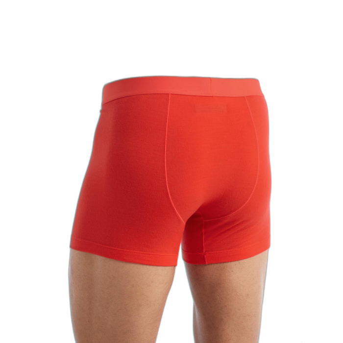 Bokserki męskie ICEBREAKER Anatomica Cool-Lite 105246 /  czerwony