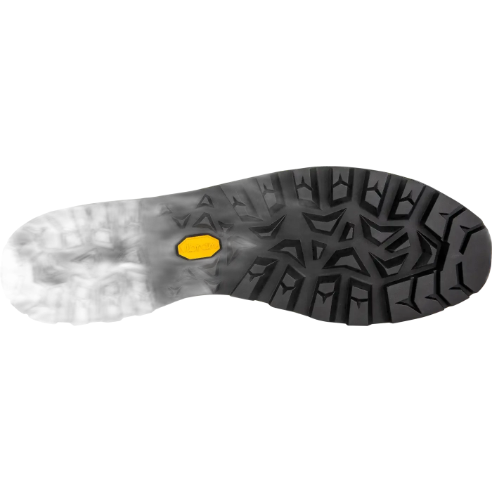 Buty LOWA Alpine Expert 2GTX