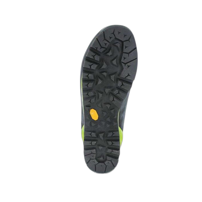 Buty LOWA Alpine Pro GTX /  wielokolorowy