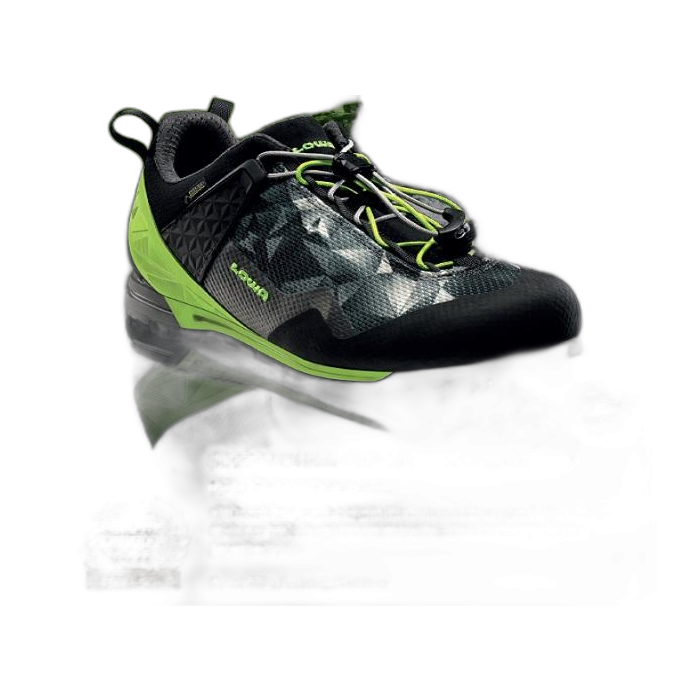 Buty LOWA Approach Pro GTX Lo /  zielony