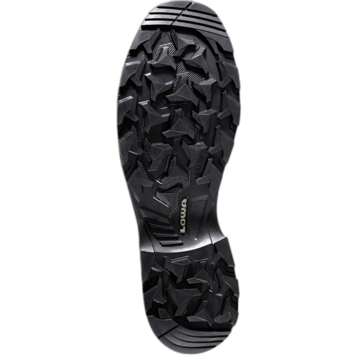 Buty LOWA Arco GTX Lo /  wielokolorowy