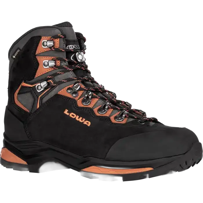 Buty LOWA Camino Evo GTX /  czarny