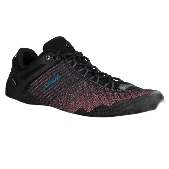 Buty LOWA CarezzaGTX Lo Ws S23 /  wielokolorowy