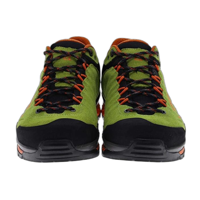 Buty LOWA Delago GTX Lo /  zielony