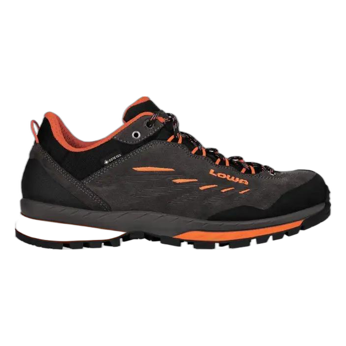 Buty LOWA Delago GTX Lo /  szary