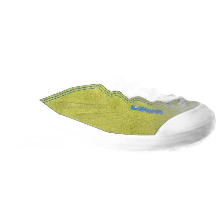 Buty LOWA Delago GTX Lo junior /  zielony
