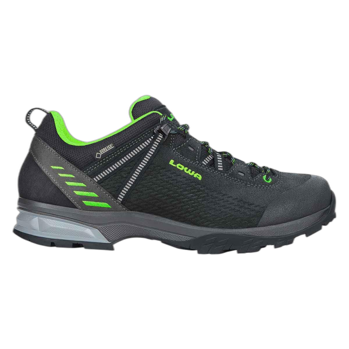 Buty LOWA Ledro GTX Lo /  czarny