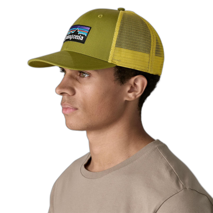 Czapka PATAGONIA Classic Trucker P-6 Logo /  zielony