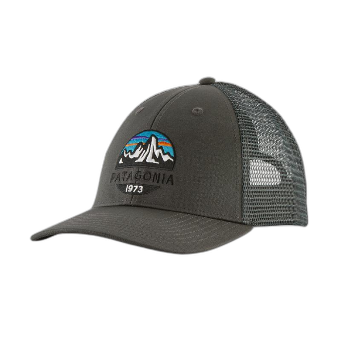 Czapka PATAGONIA Fitz Roy Scope Trucker /  szary