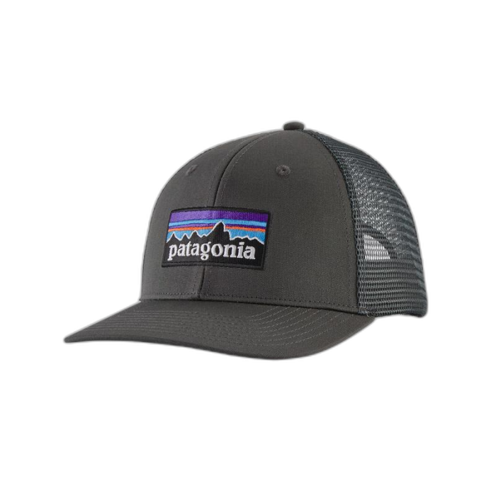 Czapka PATAGONIA P-6 classic Trucker /  szary