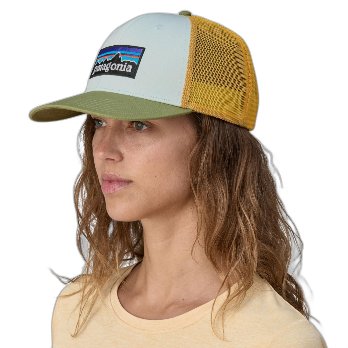 Czapka PATAGONIA P-6 Classic Trucker /  wielokolorowy