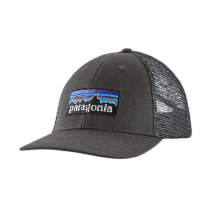 Czapka PATAGONIA P-6 lopro Trucker /  szary