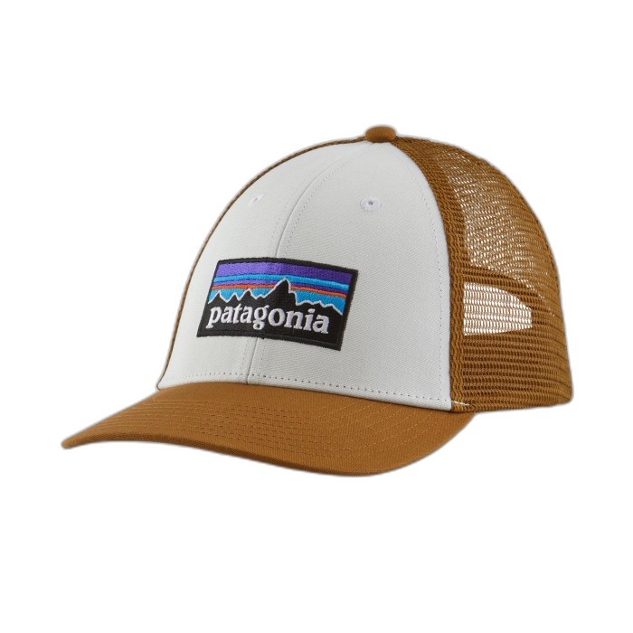 Czapka PATAGONIA P-6 LoPro Trucker /  wielokolorowy