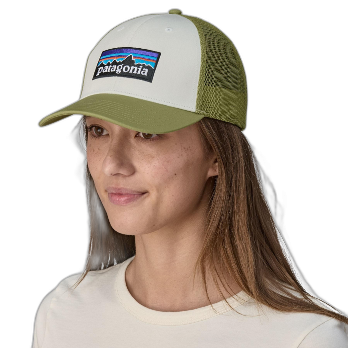Czapka PATAGONIA P-6 lopro Trucker /  wielokolorowy