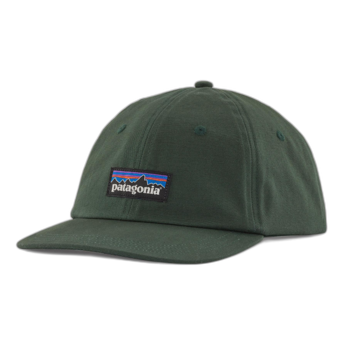 Czapka PATAGONIA Trad P-6 Label /  zielony