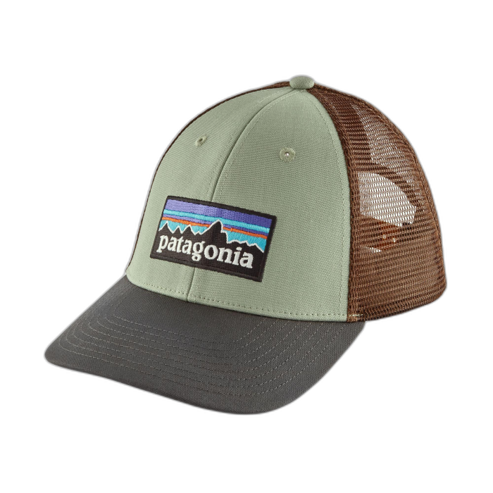Czapka PATAGONIA Trucker P-6 Logo LoPro /  wielokolorowy