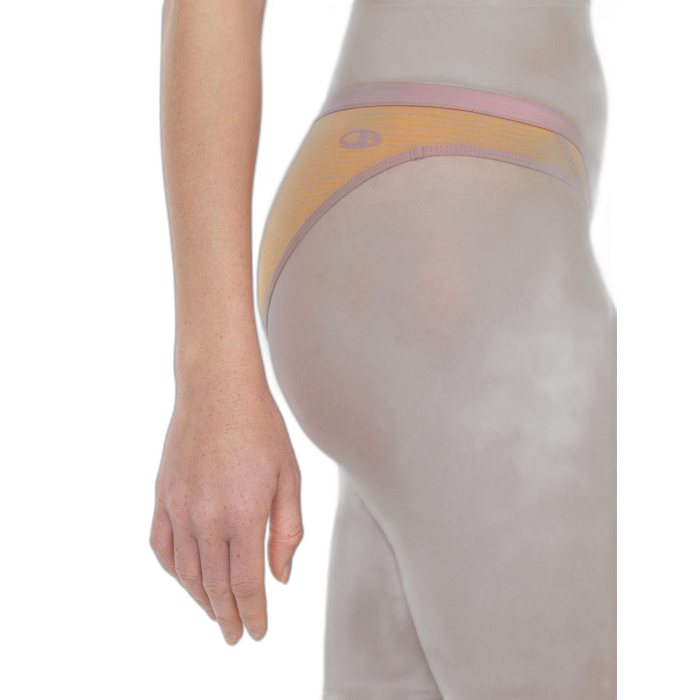 Figi damskie ICEBREAKER Siren Bikini 103164  /  wielokolorowy