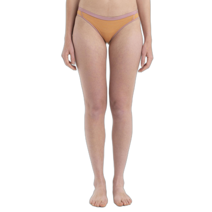 Figi damskie ICEBREAKER Siren Bikini 103164  /  wielokolorowy