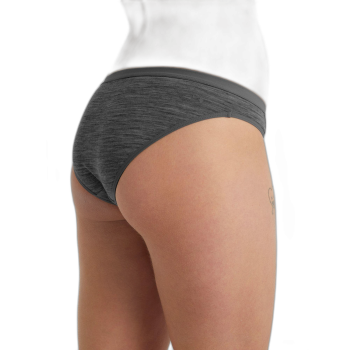 Figi damskie ICEBREAKER Siren Bikini 103164  /  szary