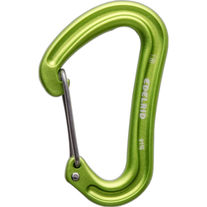 Karabinek EDELRID Nineteen G /  zielony