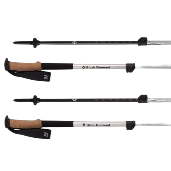 Kije Black Diamond Alpine Carbon /  biały