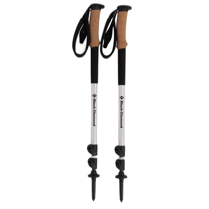 Kije Black Diamond Alpine Carbon /  biały