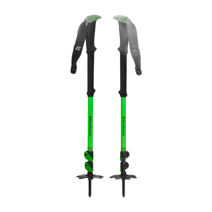 Kije BLACK DIAMOND Expedition WR 3 Ski /  zielony