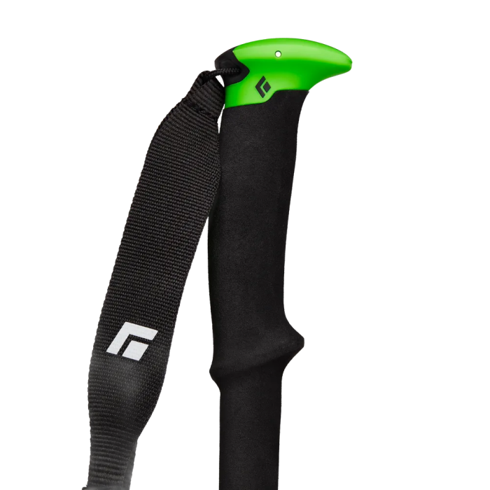Kije BLACK DIAMOND Expedition WR 3 Ski /  zielony