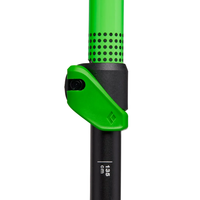 Kije BLACK DIAMOND Expedition WR 3 Ski /  zielony