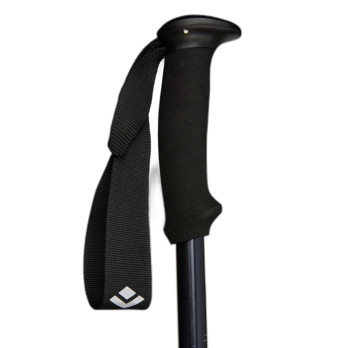 Kije Black Diamond Explorer 2 Trekking